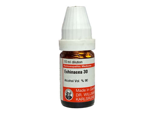 Picture of Echinacea 30 10ml Pot